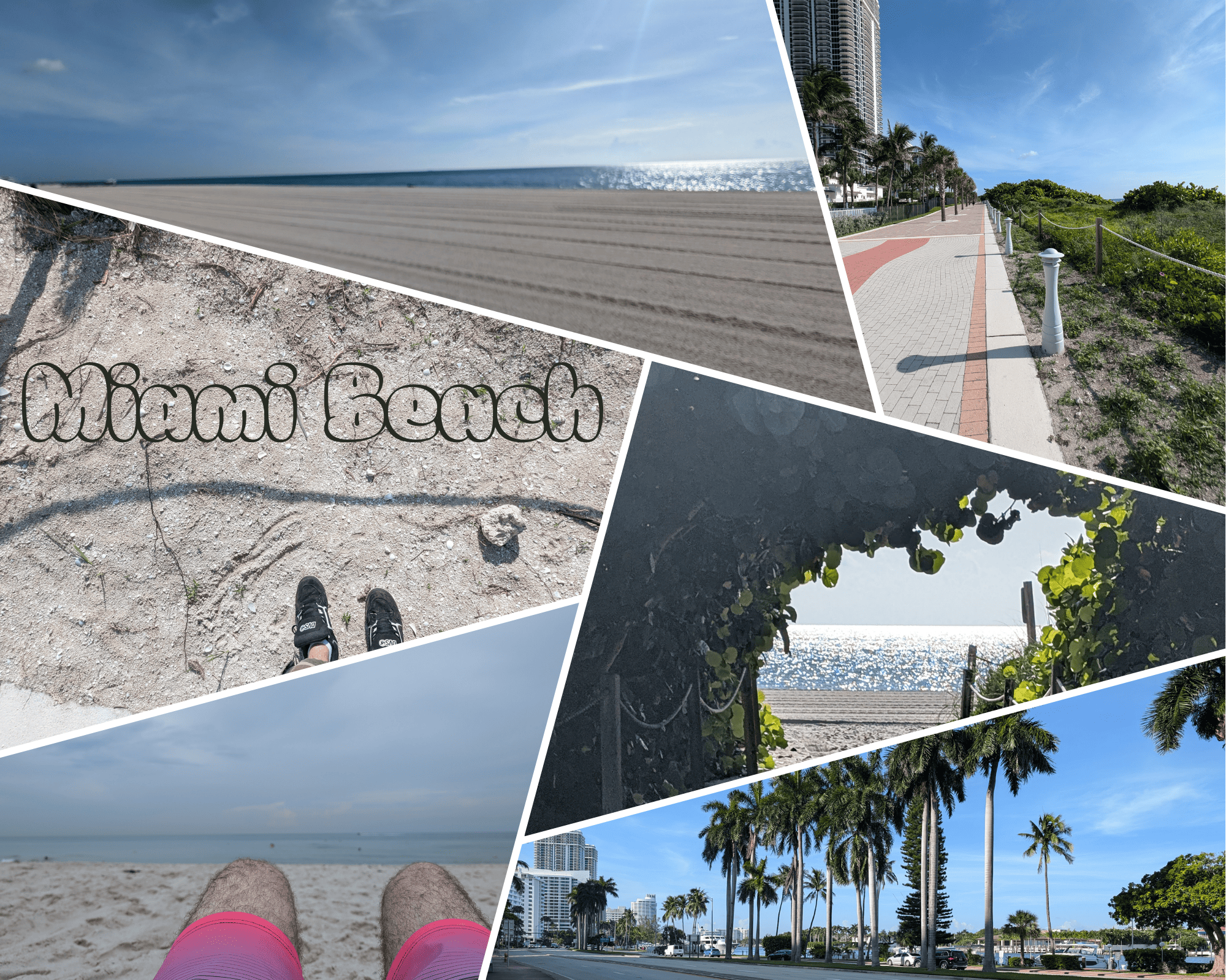 Été à Miami