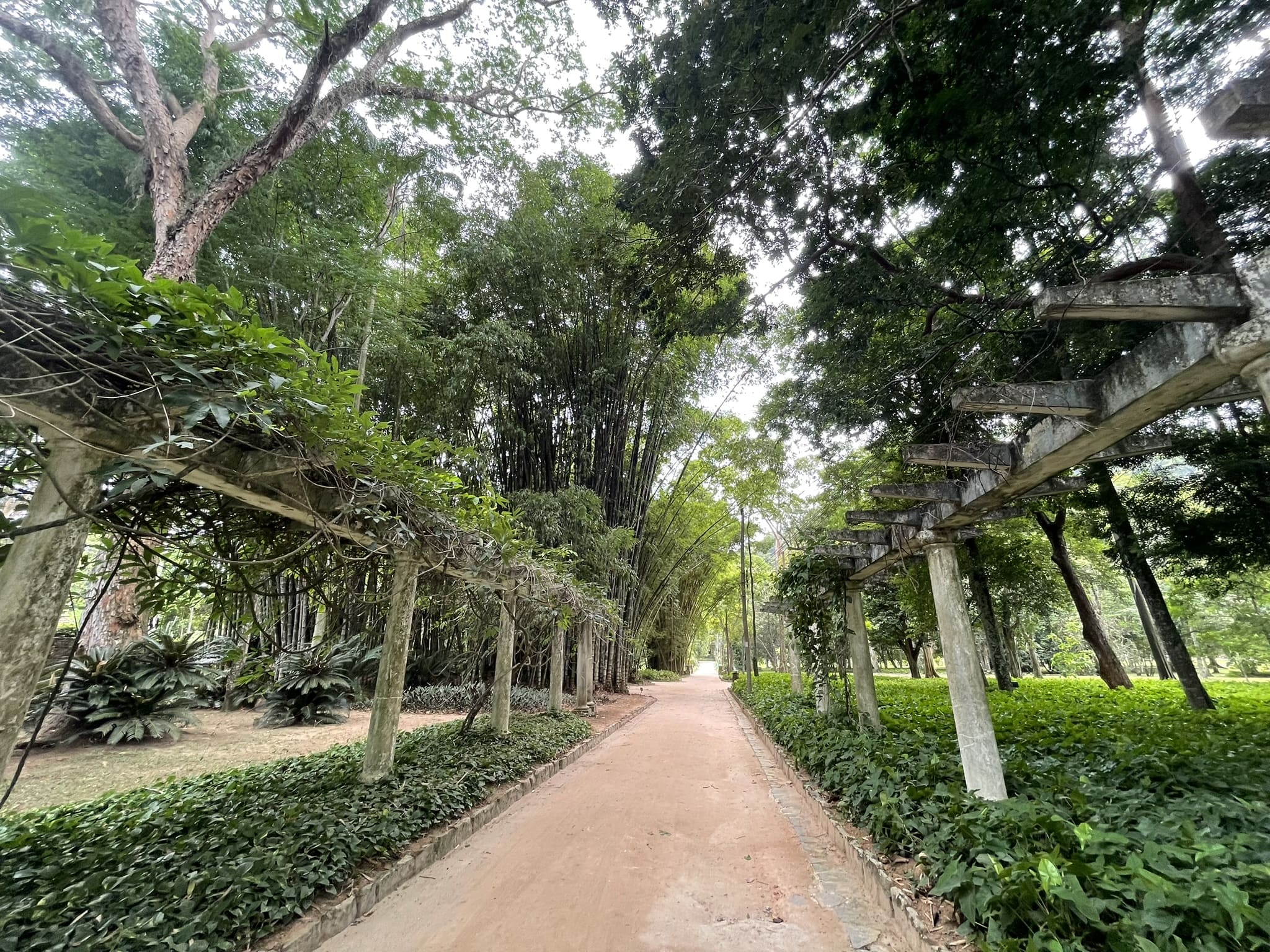 /socialbox/storage/app//public/images/jardin-botanique-min_1707966406.jpeg