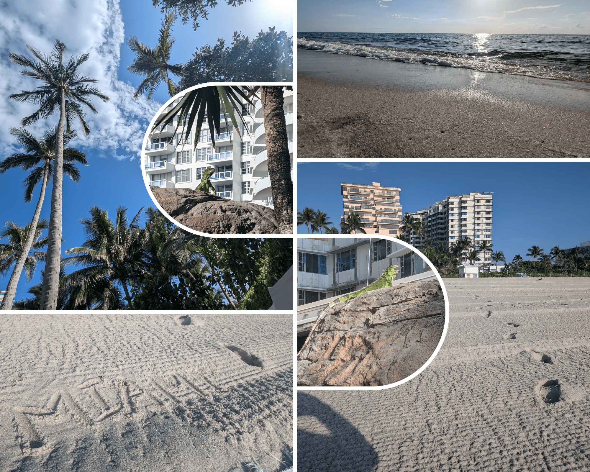 /socialbox/storage/app/public/images/Miami-morning3_1735273025.png